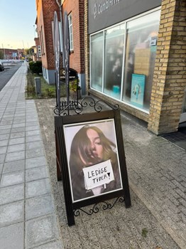 Opslagsbillede
