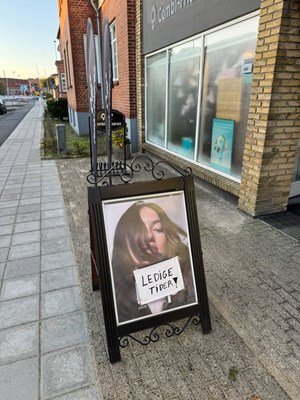 opslagsbillede