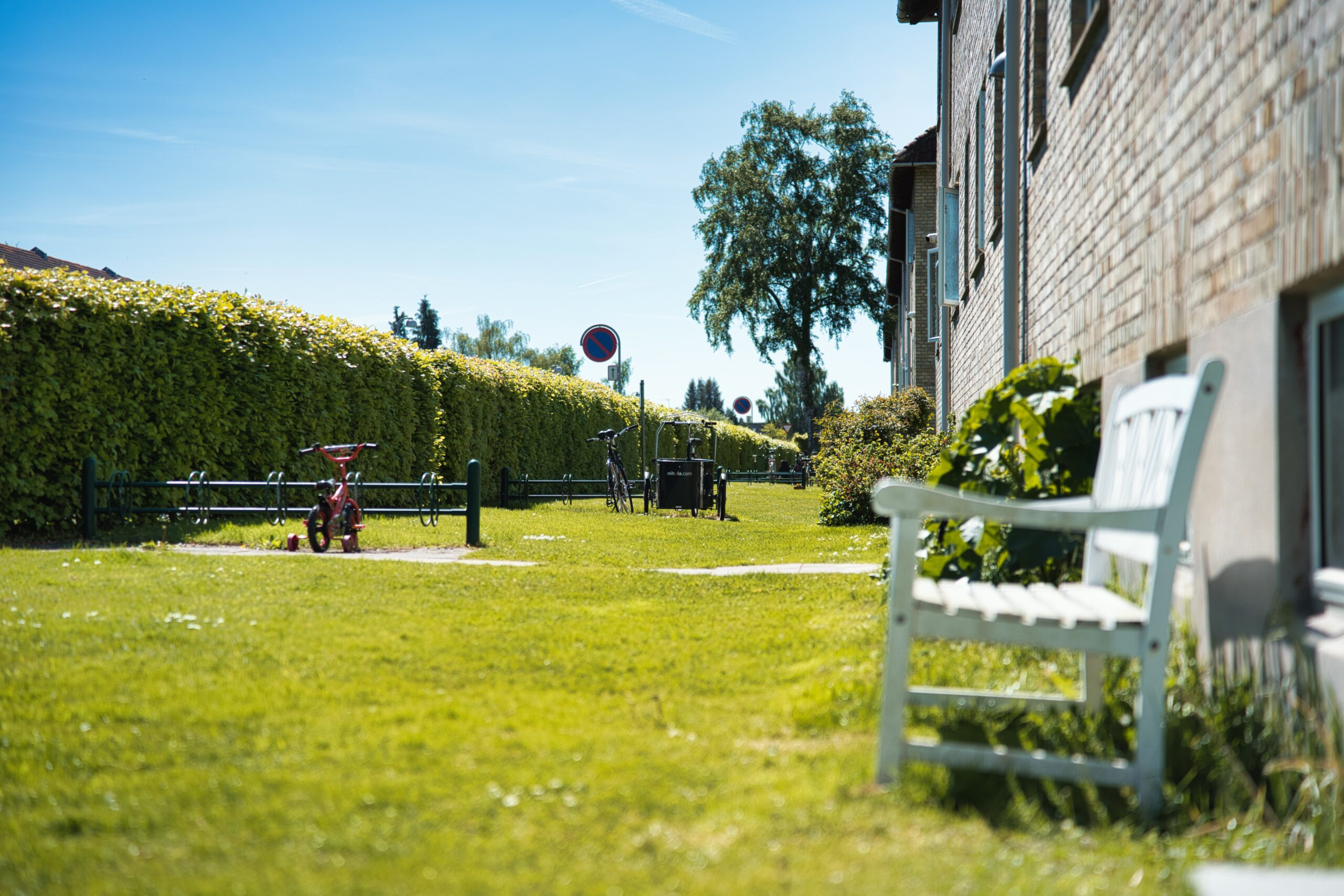 Randers Kommune stormer frem med nye kolonihaver i 2024