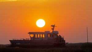 Solopgangstur til østersbankerne med Mandøpigen