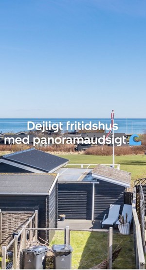 opslagsbillede