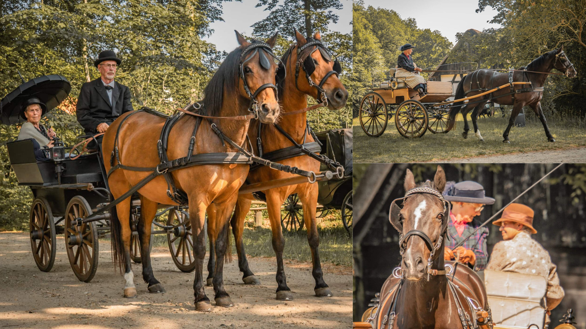 Rejs tilbage i tiden med hestevogne på Hjerl Hede