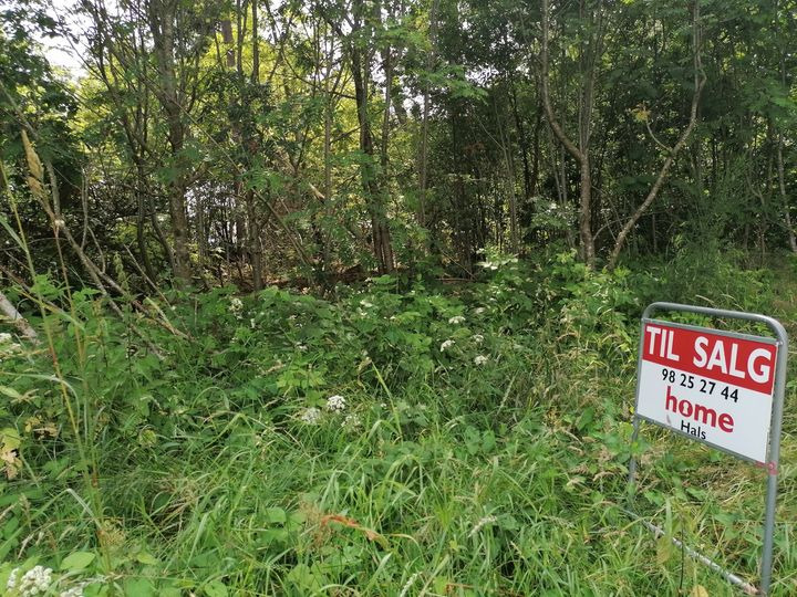 En finger på pulsen i Hals