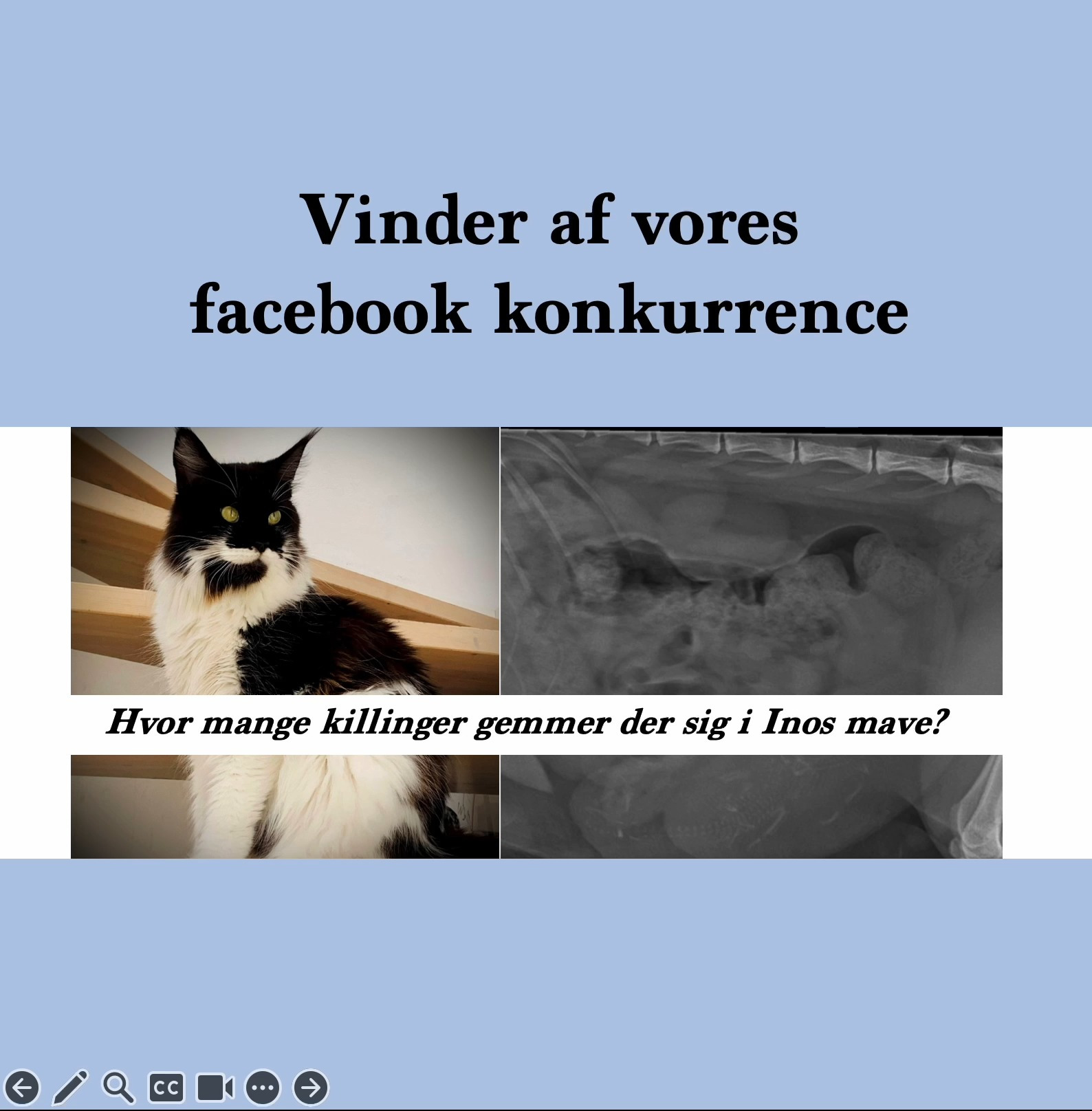 Hold dig ajour med dagens opdateringer fra Risskov