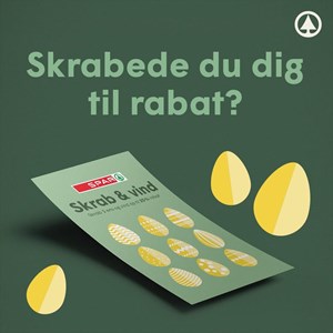 Opslagsbillede