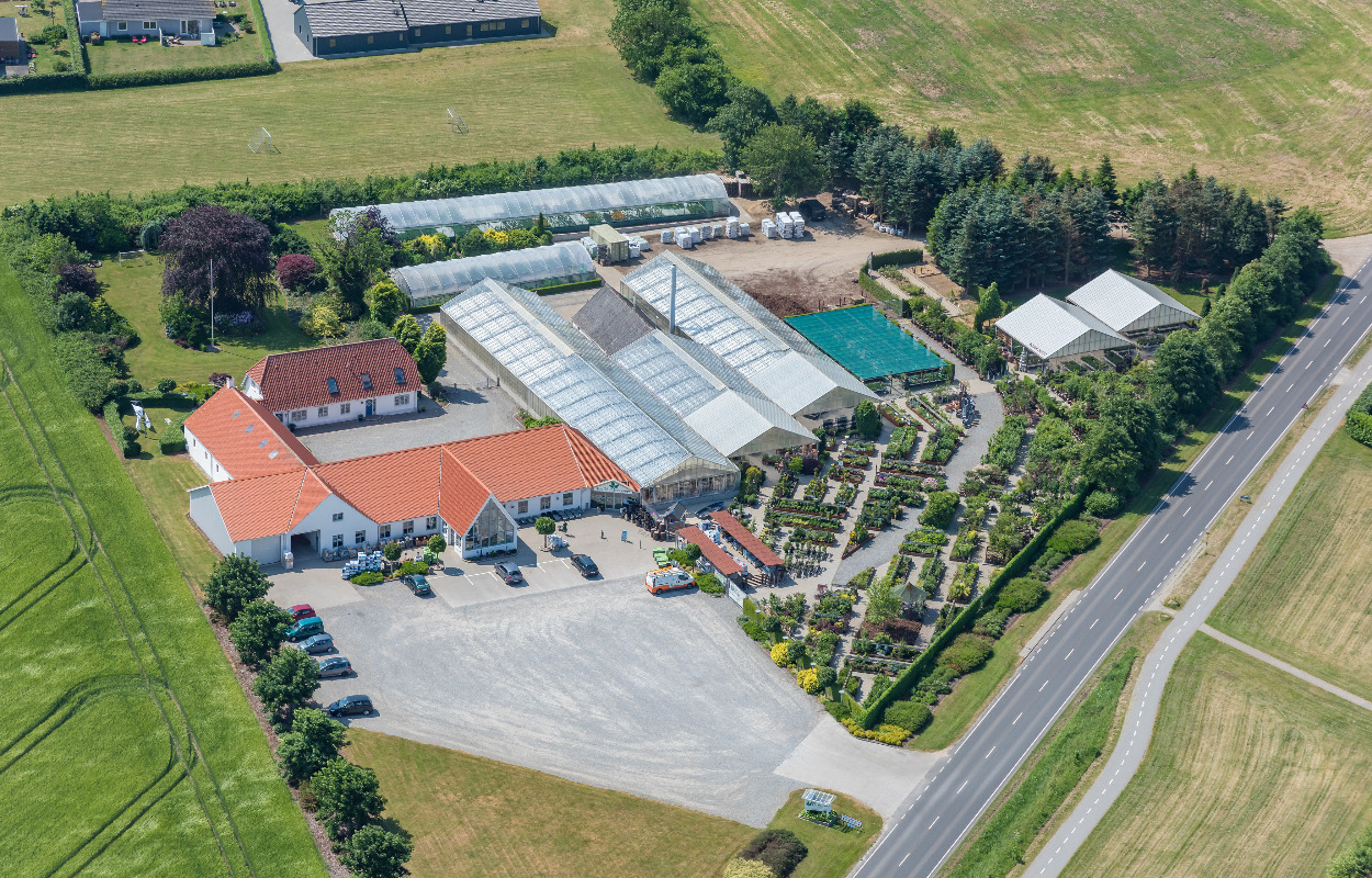 Lokalt plantecenter blev til for 33 år siden: En tilfældig avisannonce blev startskuddet for Leif