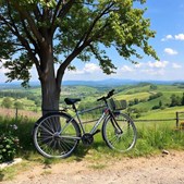 HV CARE klar til at reparere alle cykeltyper hurtigt og professionelt