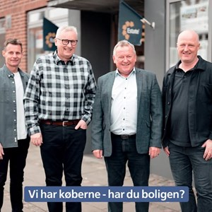 Opslagsbillede