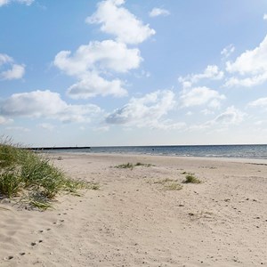 Opslagsbillede