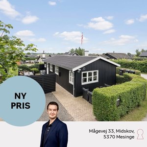 Opslagsbillede