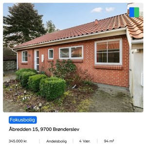 opslagsbillede