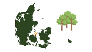 Fynske Hindsholm får ny statsskov