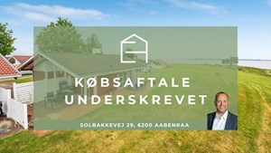 opslagsbillede