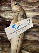 Nye attraktive priser på friske fisk hos HANSTHOLM AUCTION BUYER