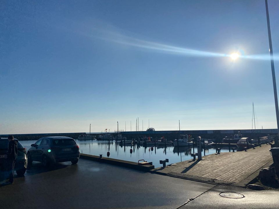 Havnens fisk og grill lukker for ugen: Sidste chance for fisk i dag mellem kl. 11-19