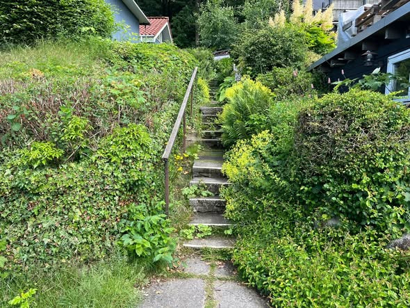 BP Green Garden viser før og efter fra hækkeklipning og fliserens