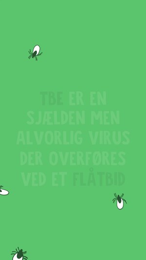 opslagsbillede