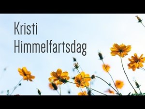 opslagsbillede