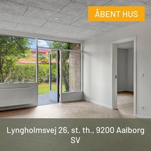 Opslagsbillede