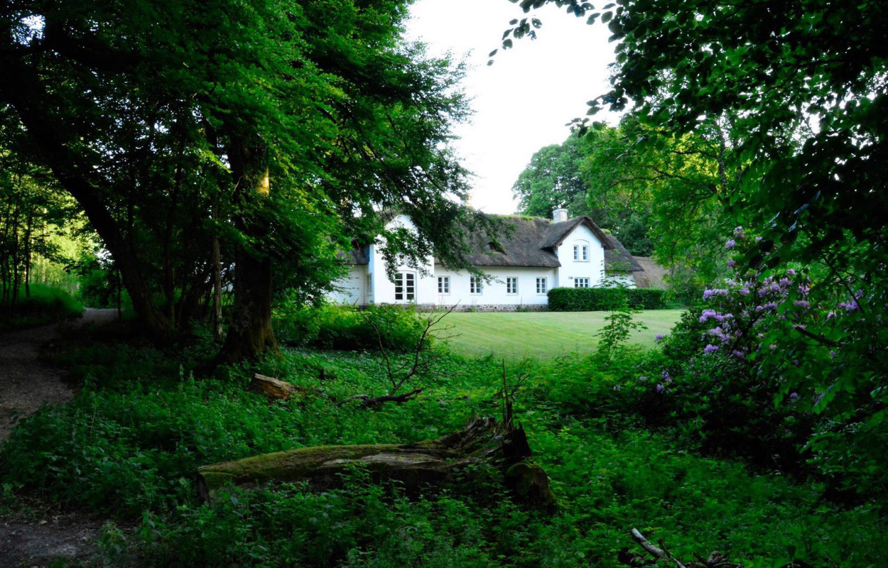 Vester Palsgaard Skovmuseum inviterer på besøg i mørket