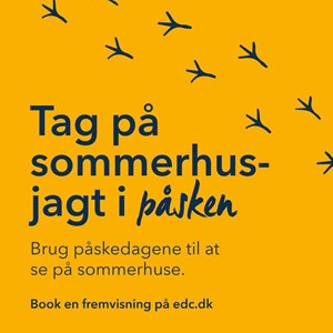 Opslagsbillede