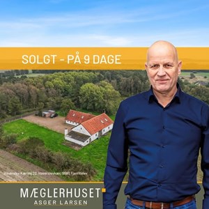 opslagsbillede