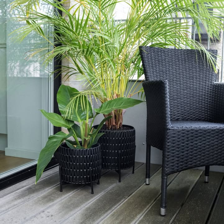 Rattan plantekurve til salg hos MENY Gl. Skagensvej