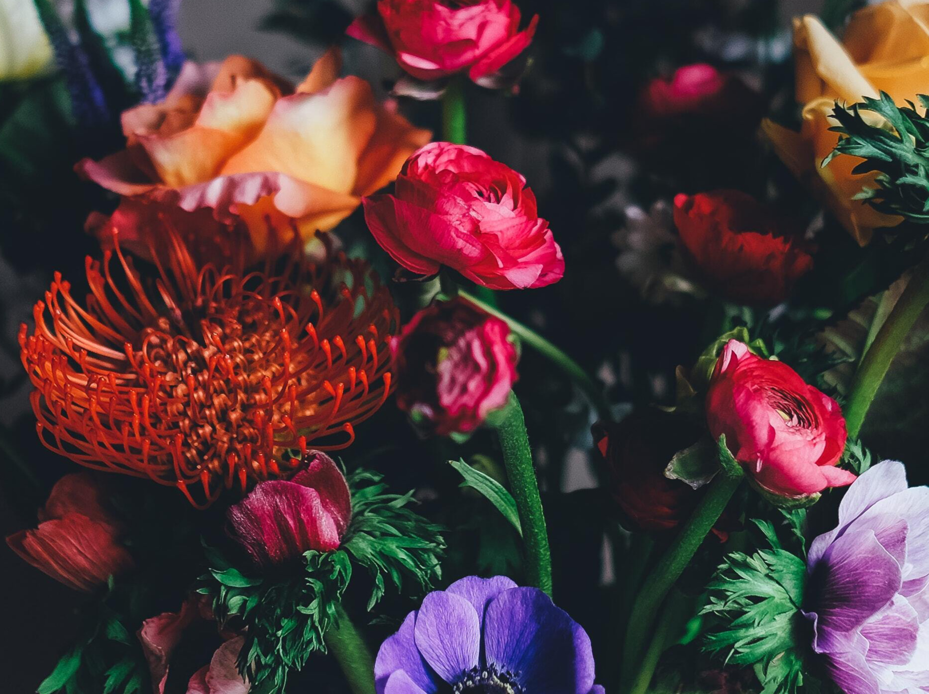 Årets handicappris uddelt i Halsnæs Kommune