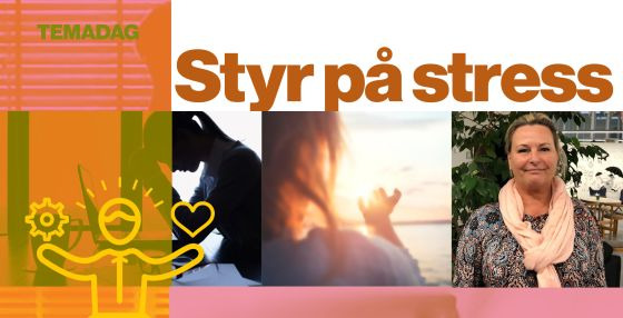 Stresshåndtering i Holte: Kom til temamøde og få redskaberne