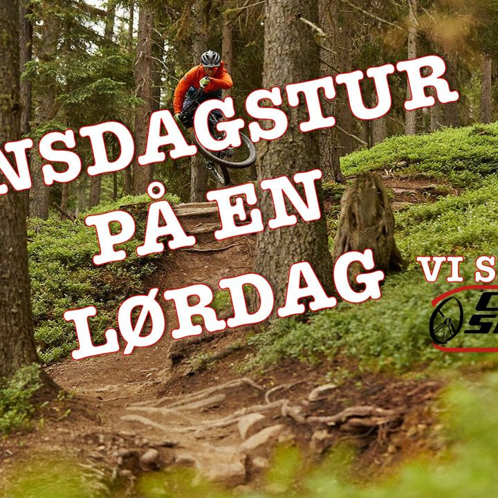 En finger på pulsen i Vejle