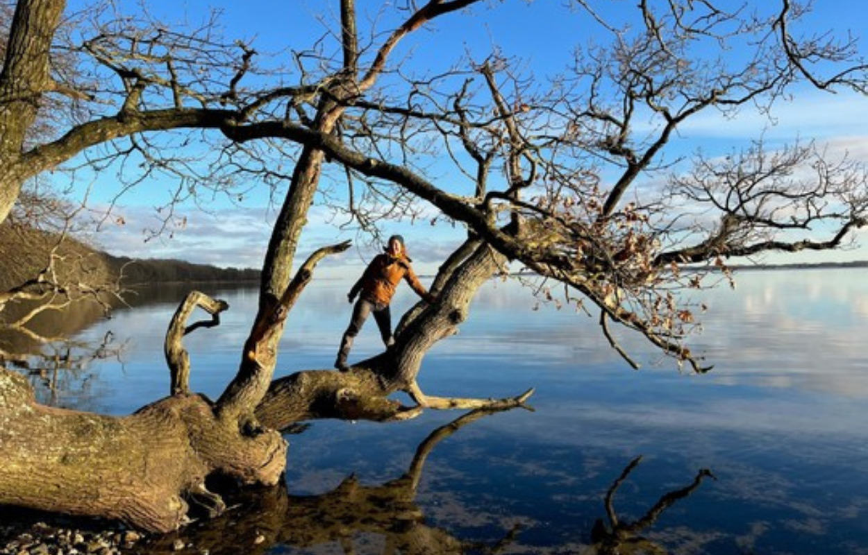 Mørkesidning i skoven, flagermus og fuldmånetur: Kom med på inspirerende guidede naturture i Horsens Kommune 