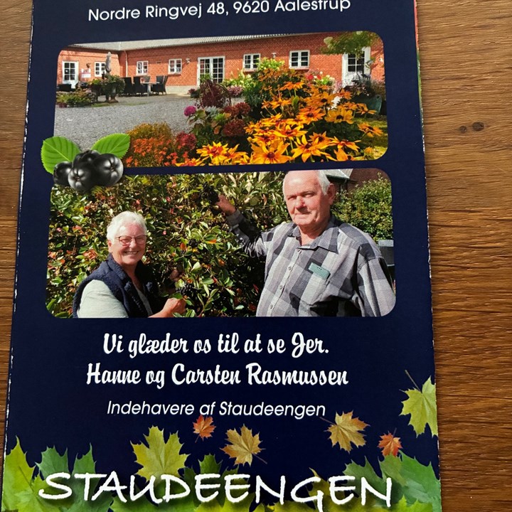 Portrætfoto af Hanne Rasmussen