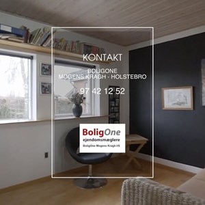 Opslagsbillede