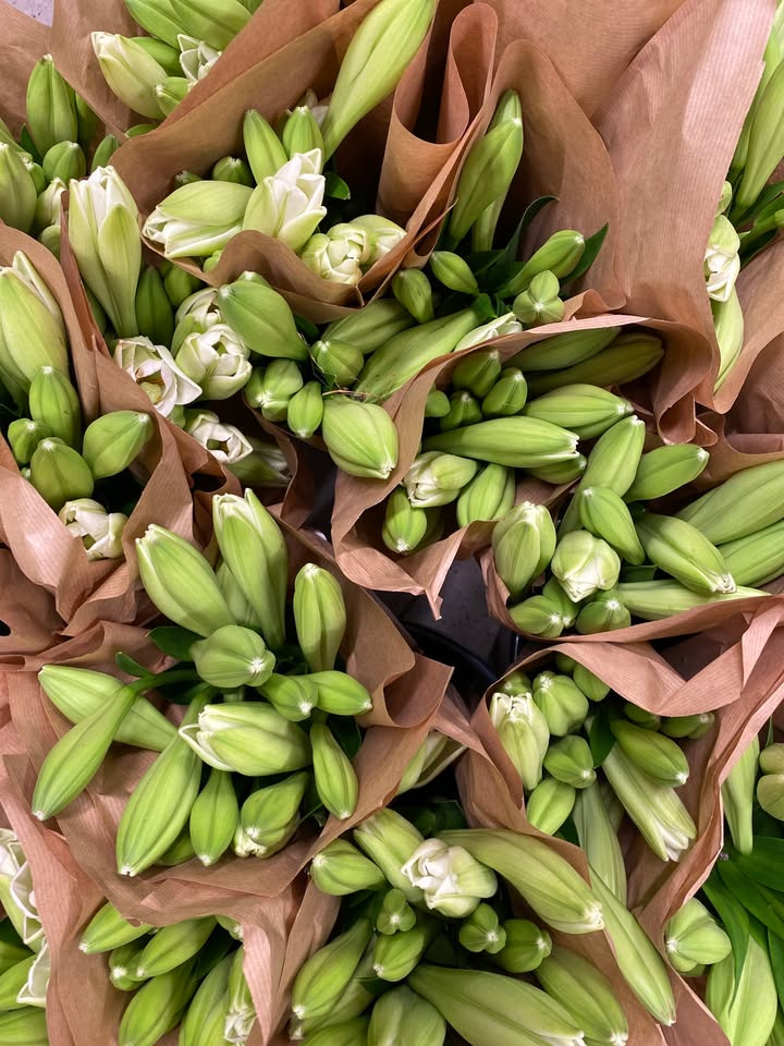 Min Købmand i Asp tilbyder store longi liljer i bundter til ja tak pris