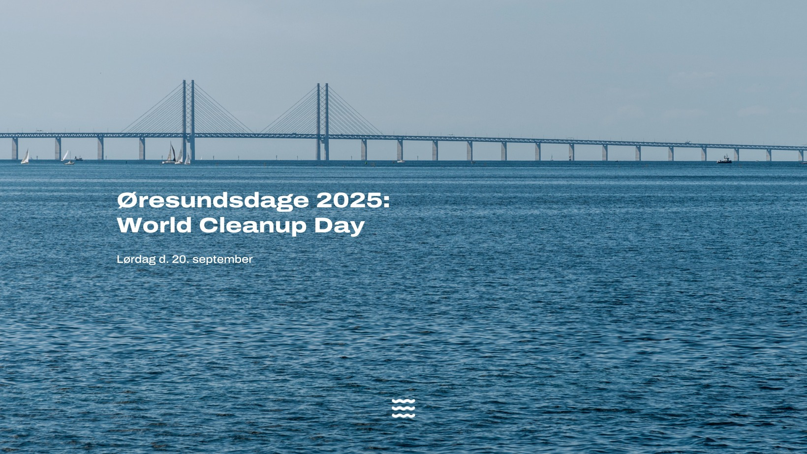 World Cleanup Day: Øresundsdag i Gilleleje Havn