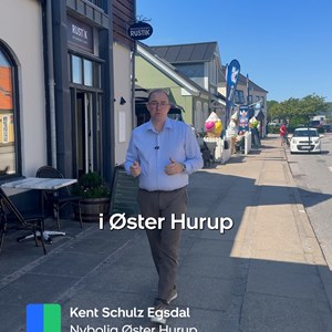 Opslagsbillede