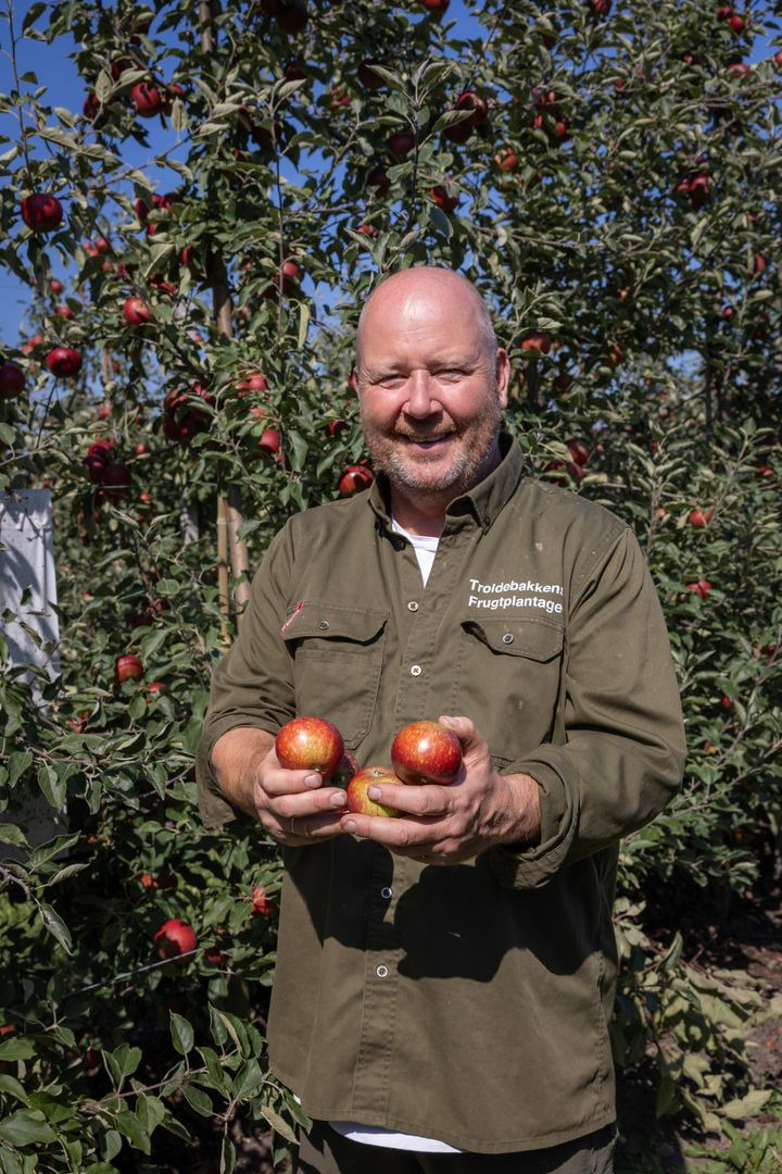 Min købmand, Nim: Kom forbi og smag sæsonens danske æbler
