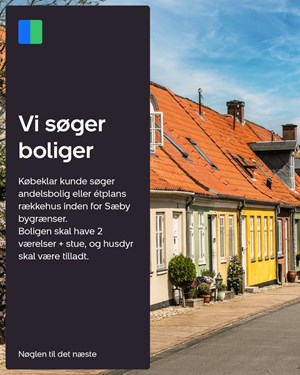 opslagsbillede