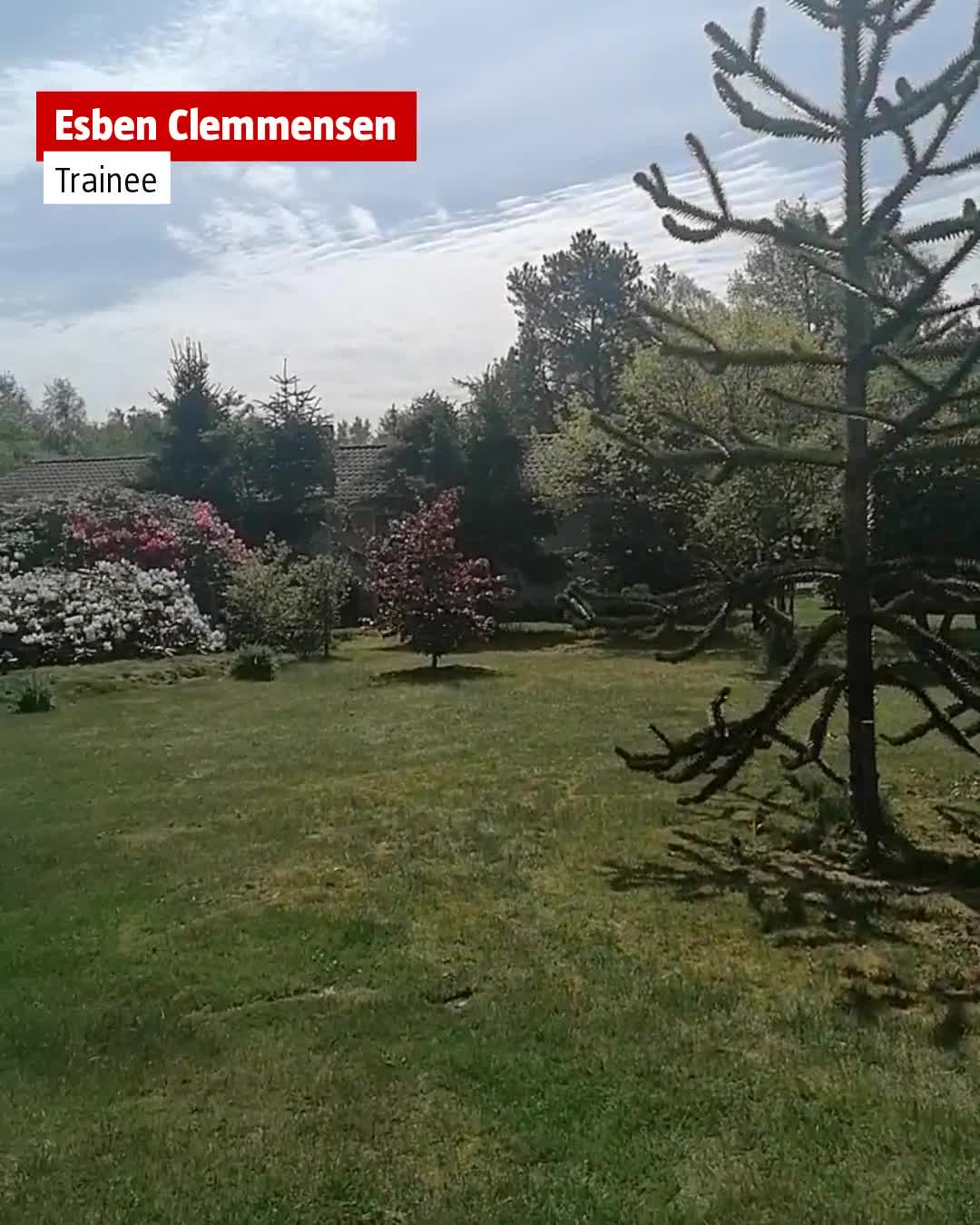 Nyt på opslagstavlen i Hals