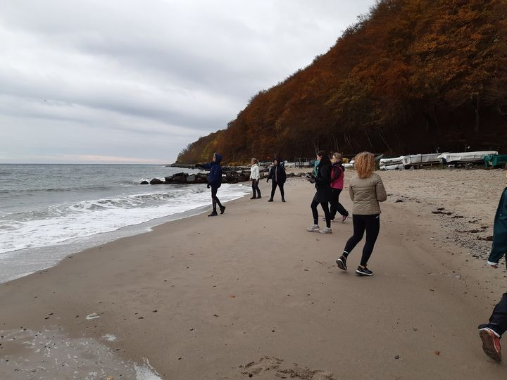 Opdatér dig her: Det nyeste fra Hammel