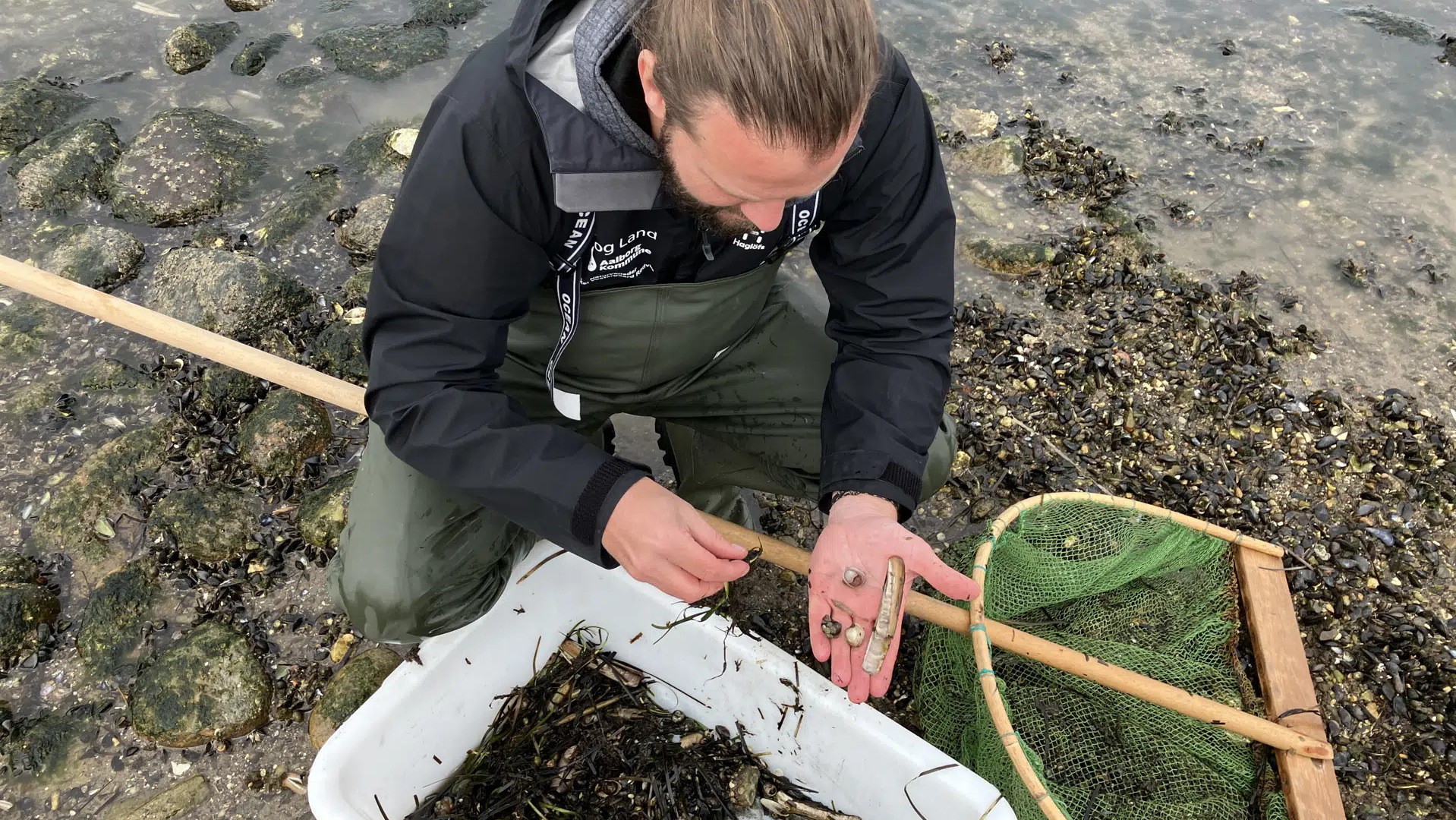 Sommeraktiviteter i Aalborg: Læs, leg og oplev naturen for alle aldre