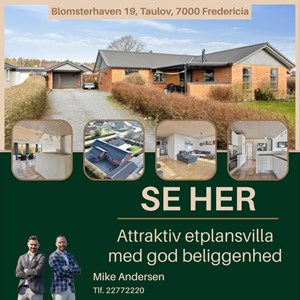 Opslagsbillede