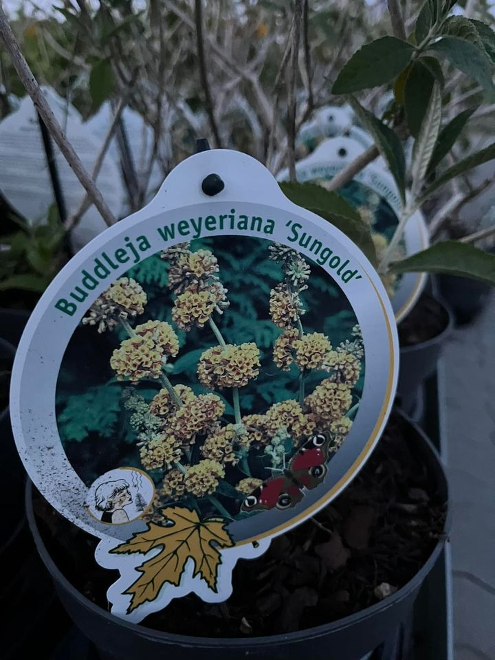 En finger på pulsen i Horsens