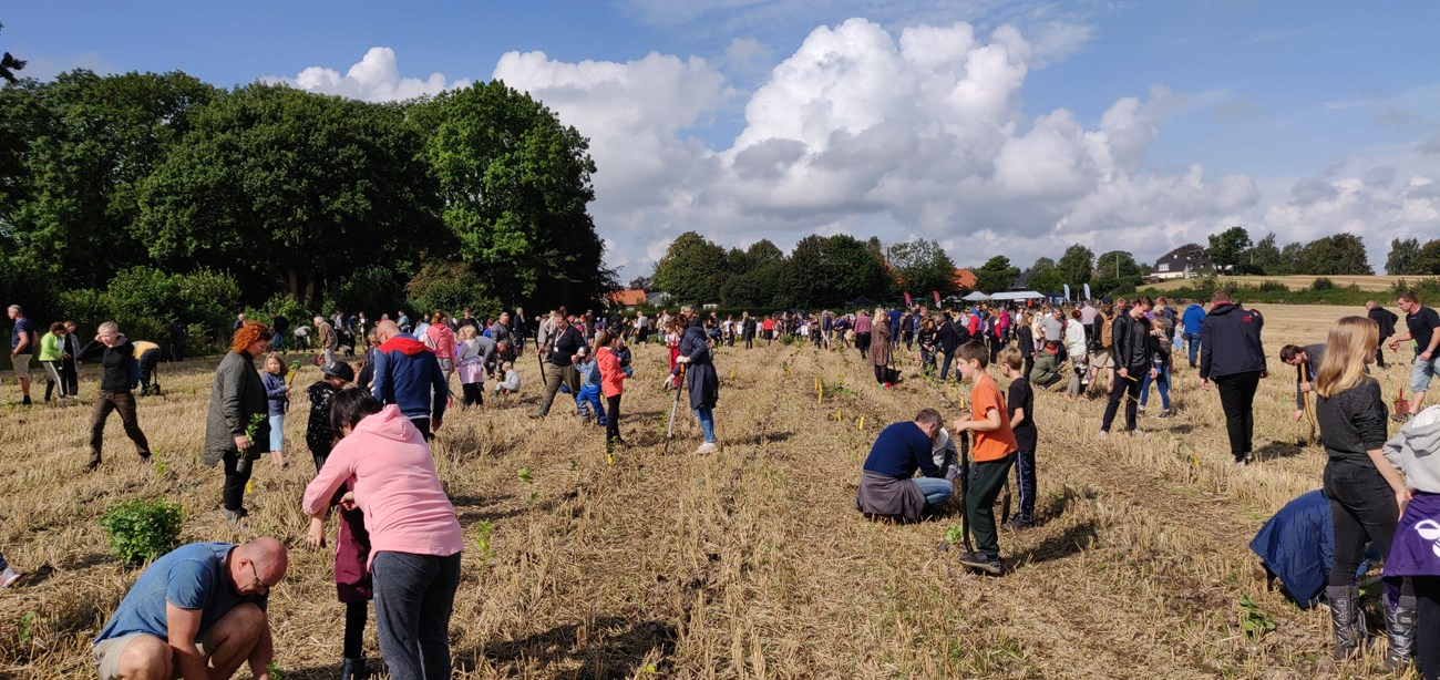 Børn i Viborg planter skov i skoletiden