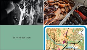 Oplev en mangfoldig weekend i Hirtshals: Fællessang, hummerfest og klubløb