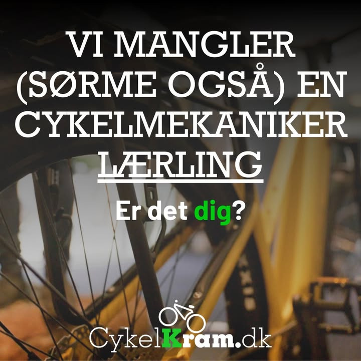 Cykelkram ApS søger cykelmekanikerlærling til innovativ læreplads