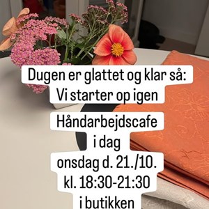 Opslagsbillede