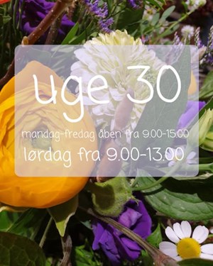 opslagsbillede