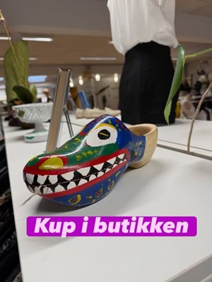 opslagsbillede