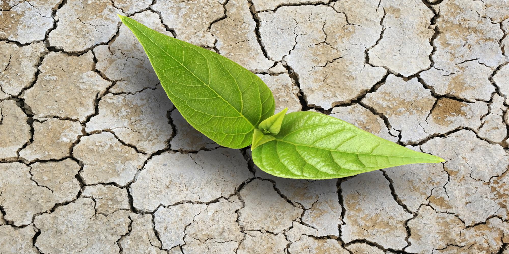 Opdatér dig her: Det nyeste fra Billund